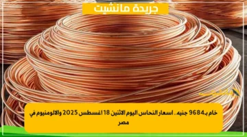 خام بـ9684 جنيه.. أسعار النحاس اليوم الإثنين 18 أغسطس 2025 والألومنيوم في مصر